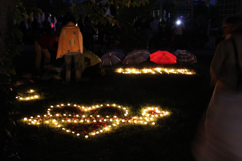 IMG_6204.JPG - Lichterfest in the Palmengarten  http://en.wikipedia.org/wiki/Palmengarten 