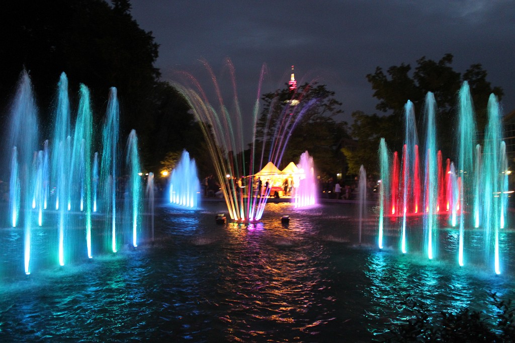IMG_6207.JPG - Fountain in the Palmengarten at night  http://en.wikipedia.org/wiki/Palmengarten 