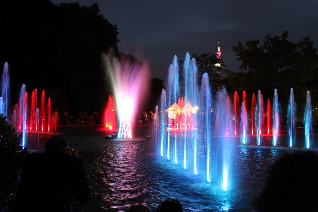 IMG_6208.JPG - Fountain in the Palmengarten at night  http://en.wikipedia.org/wiki/Palmengarten 