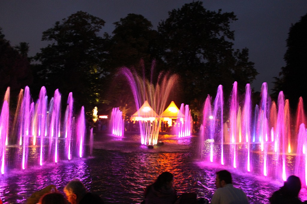 IMG_6212.JPG - Fountain in the Palmengarten at night  http://en.wikipedia.org/wiki/Palmengarten 