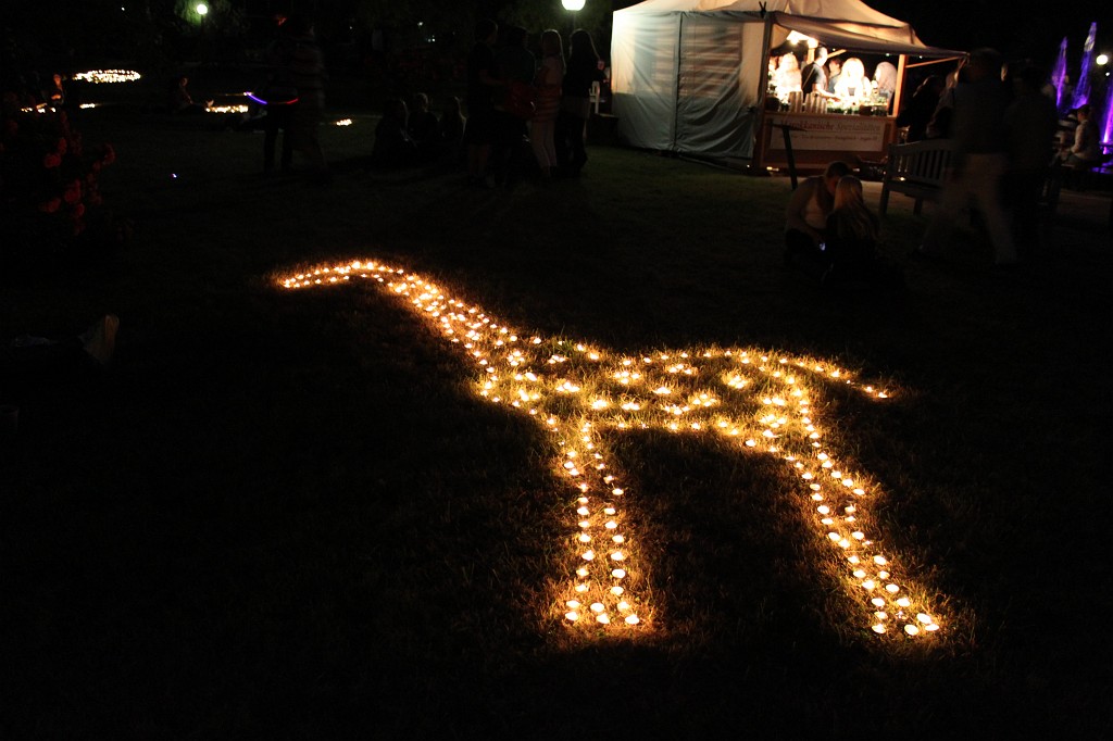 IMG_6214.JPG - Lichterfest in the Palmengarten  http://en.wikipedia.org/wiki/Palmengarten 