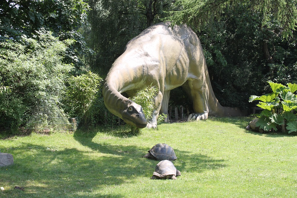 IMG_6555.JPG - Dinosaur and turtles in Tierpark Hagenbeck  http://en.wikipedia.org/wiki/Tierpark_Hagenbeck 