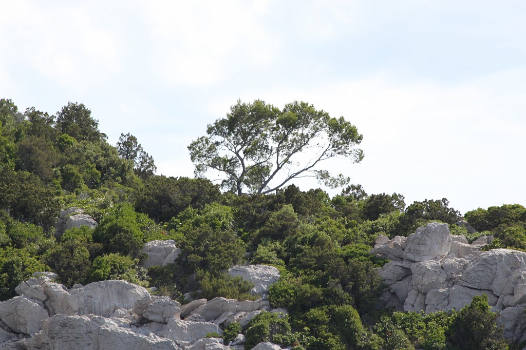 IMG_6657.JPG - Mljet island  http://en.wikipedia.org/wiki/Mljet 