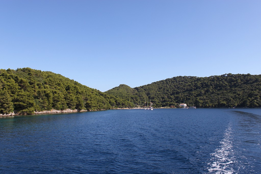 IMG_7002.JPG - Nice swim to the beach on this cove