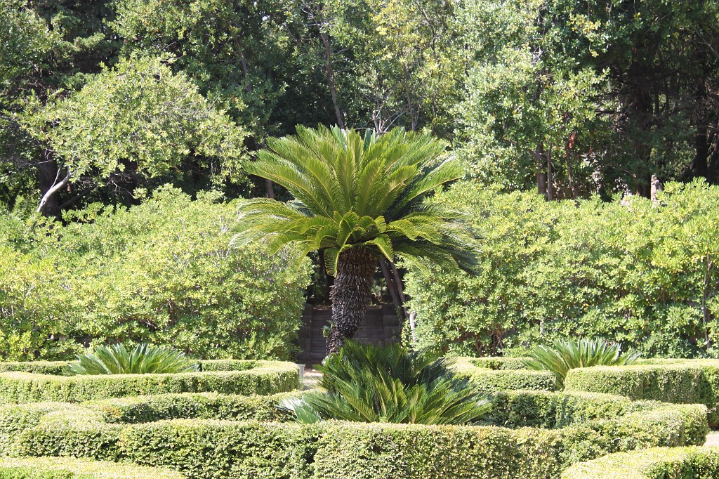 IMG_7459.JPG - Lokrum monastry garden  http://en.wikipedia.org/wiki/Lokrum 
