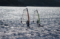 Windsurfer
