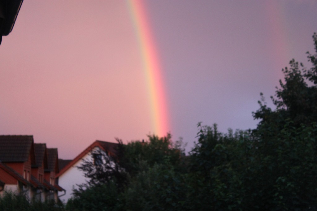IMG_7775.JPG - Rainbow