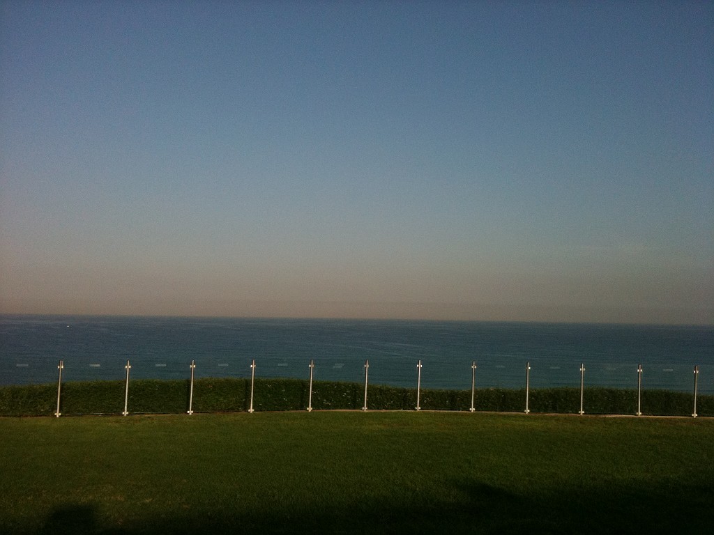 IMG_0103.JPG - Mediterranean Sea  http://en.wikipedia.org/wiki/Mediterranean_Sea  from the garden