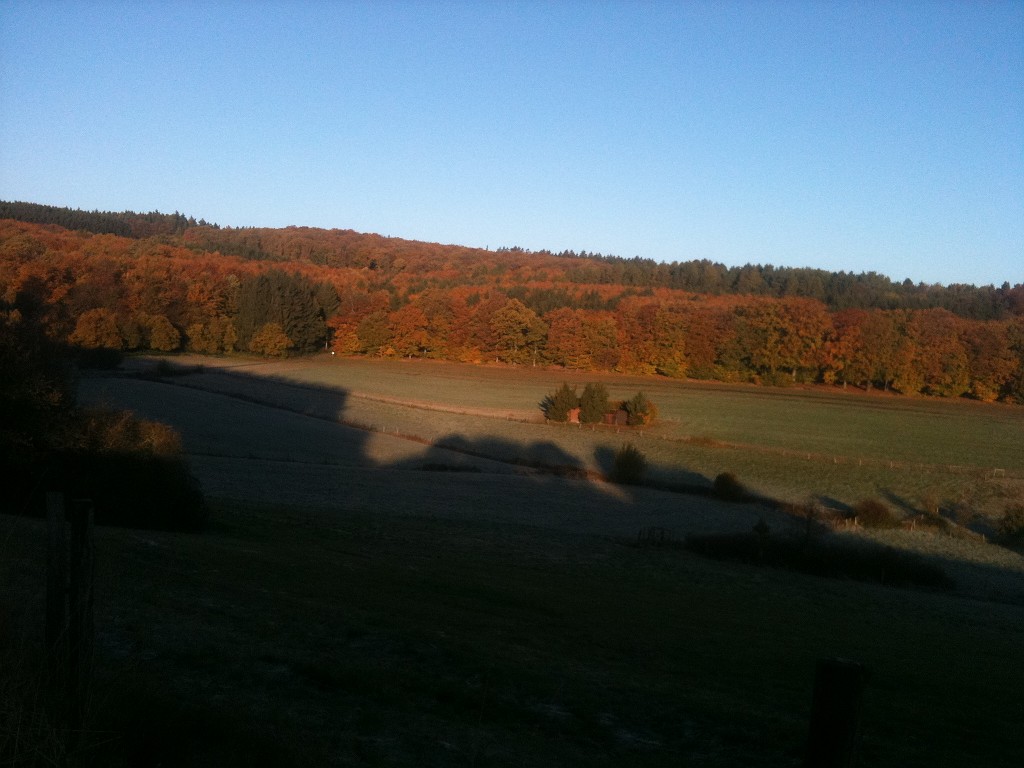 IMG_0135.JPG - Colored Wood