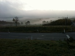 Morning fog