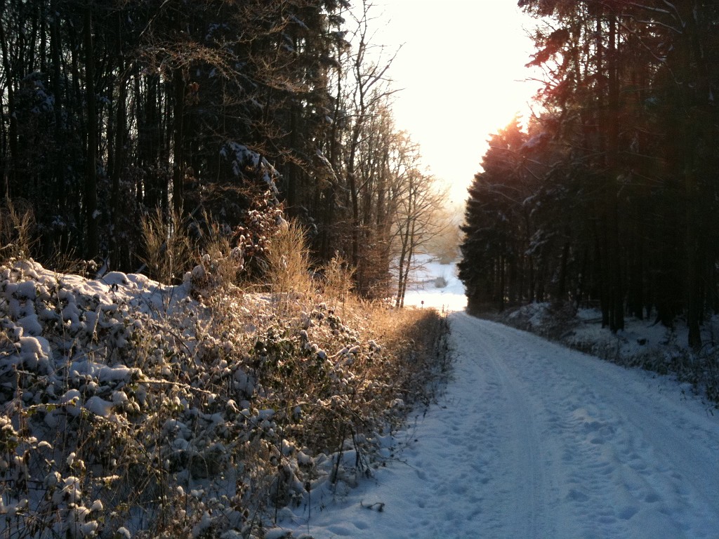 IMG_0200.JPG - Winter impressions