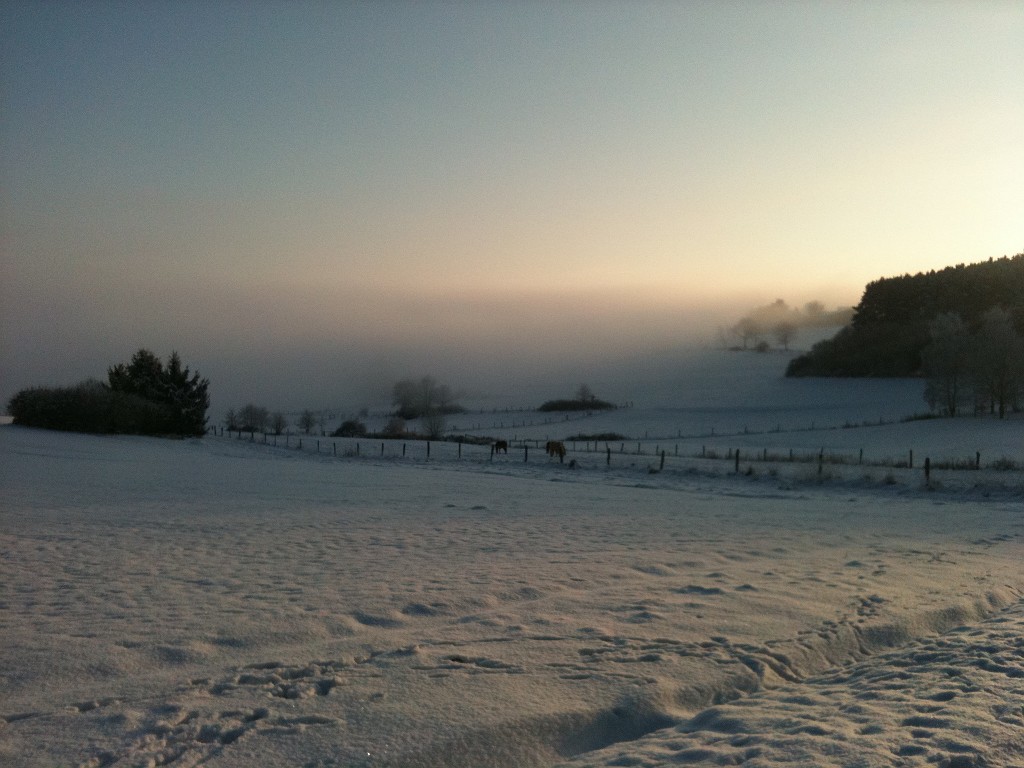 IMG_0201.JPG - Winter impressions