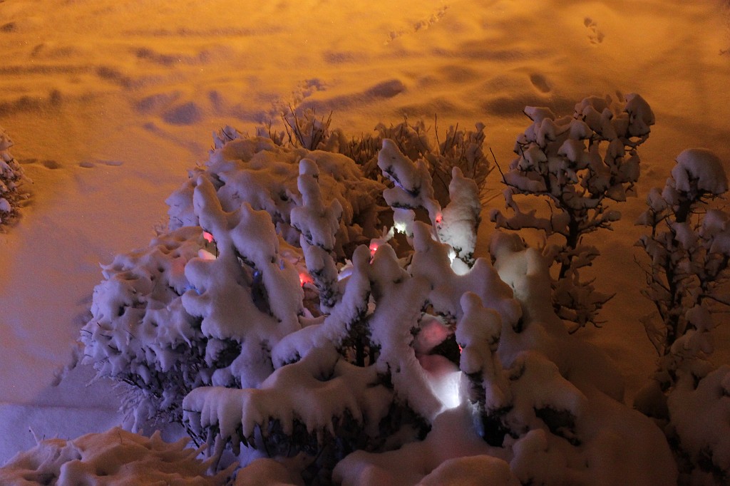 IMG_8825.JPG - Winter in Anspach