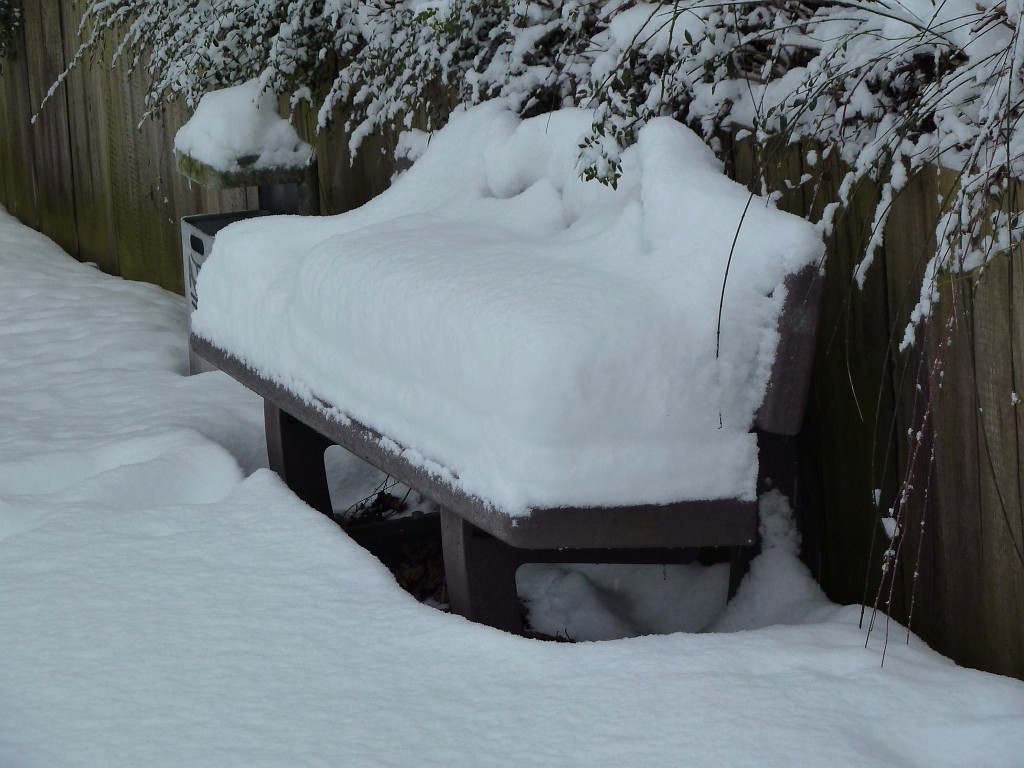 P1000019.JPG - More snow