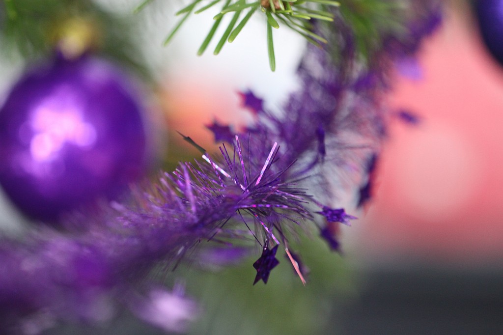 IMG_8931.JPG - Christmas tree 2010