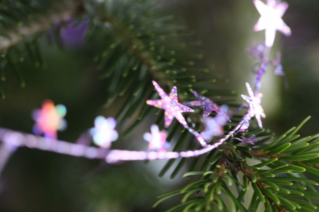 IMG_8932.JPG - Christmas tree 2010