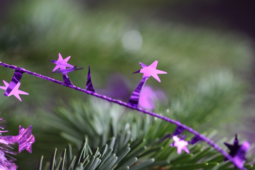 IMG_8933.JPG - Christmas tree 2010