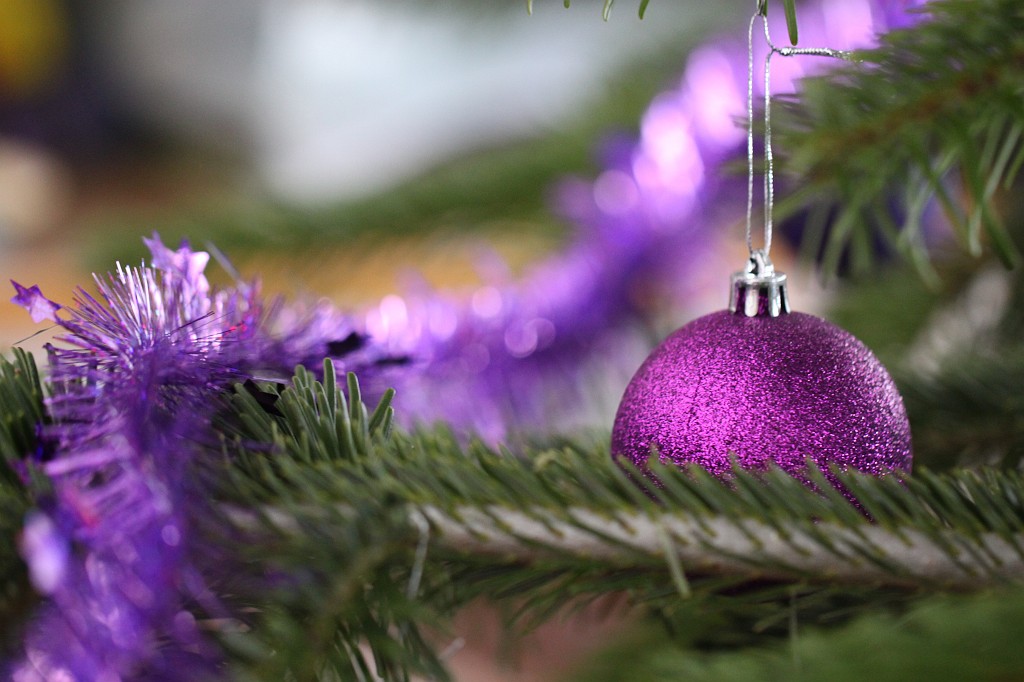 IMG_8940.JPG - Christmas tree 2010