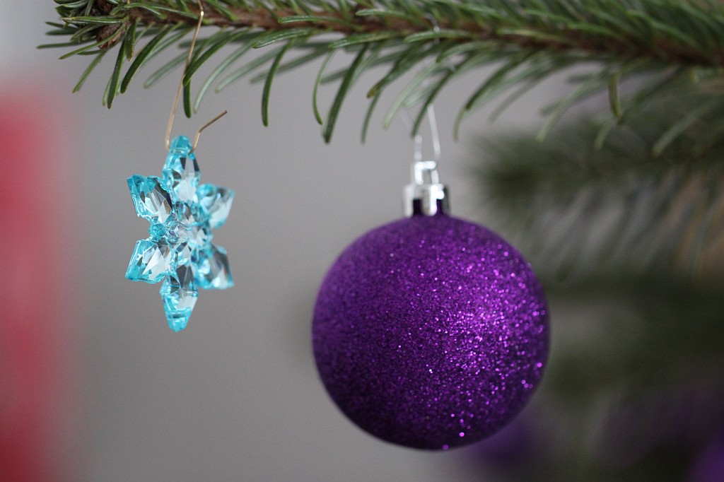 IMG_8942.JPG - Christmas tree 2010