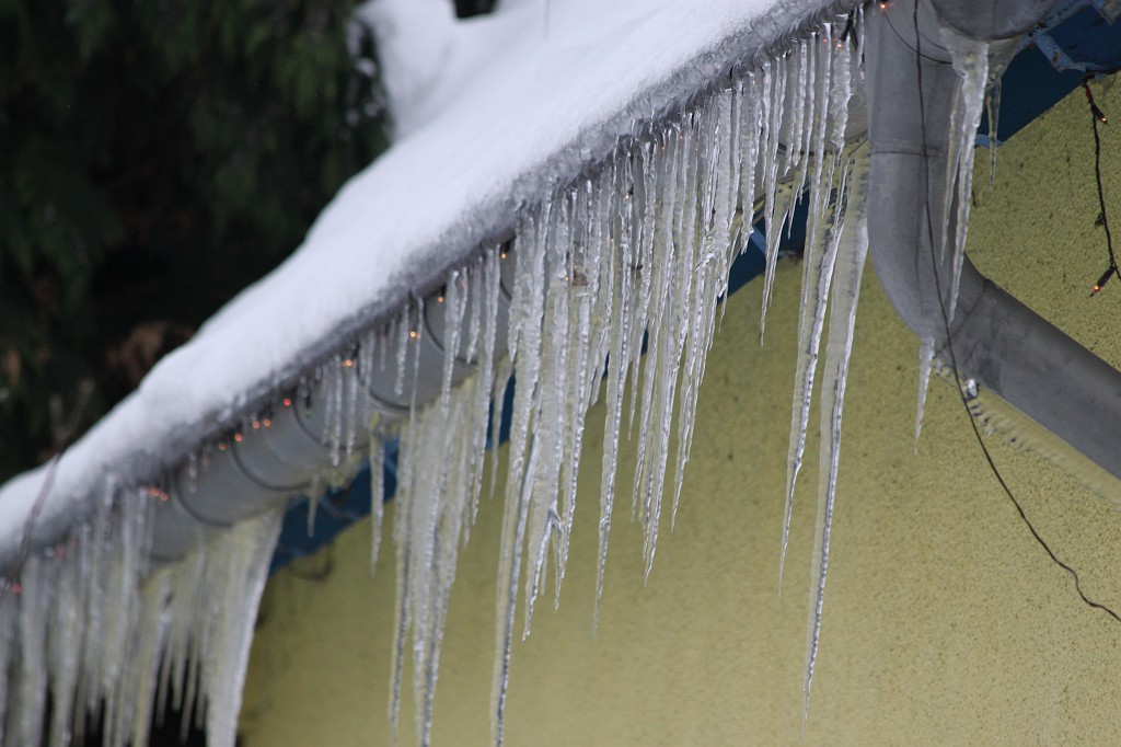 IMG_8970.JPG - Icicles