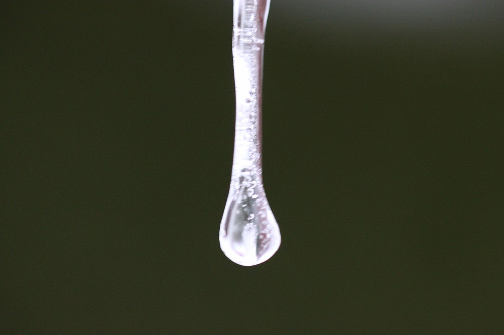 IMG_9047.JPG - Icicles