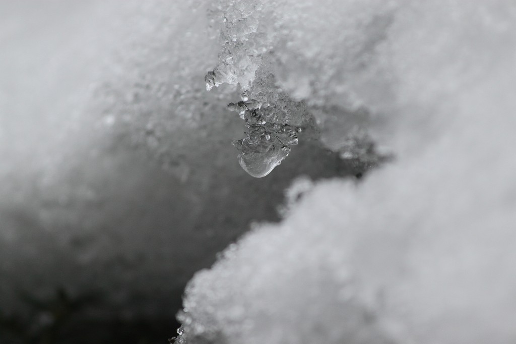 IMG_9768.JPG - Snow melting away