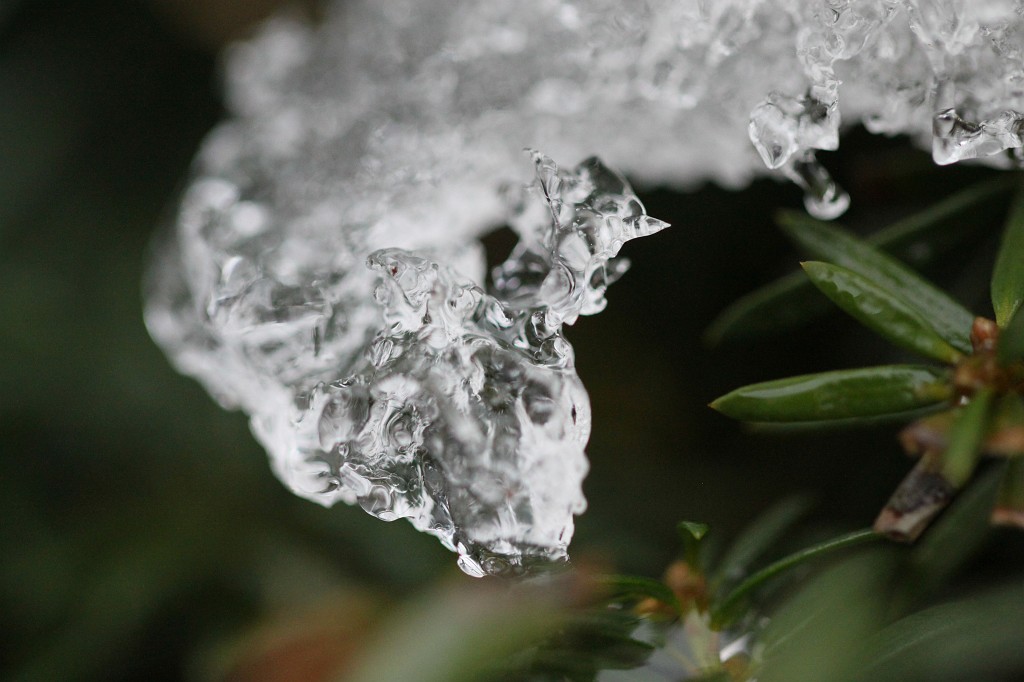 IMG_9782.JPG - Snow melting away