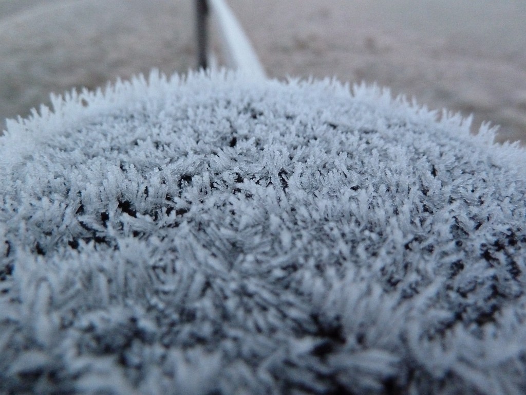 P1020246.JPG - Hoar frost