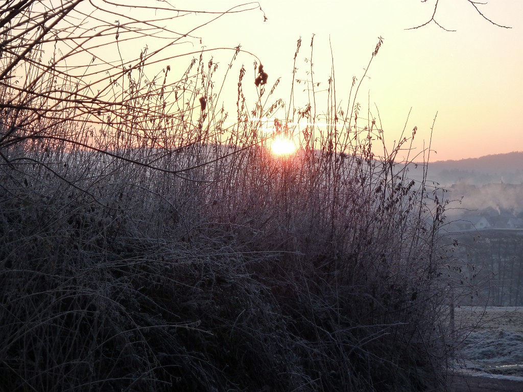 P1020265.JPG - Sun rise behind Neu-Anspach