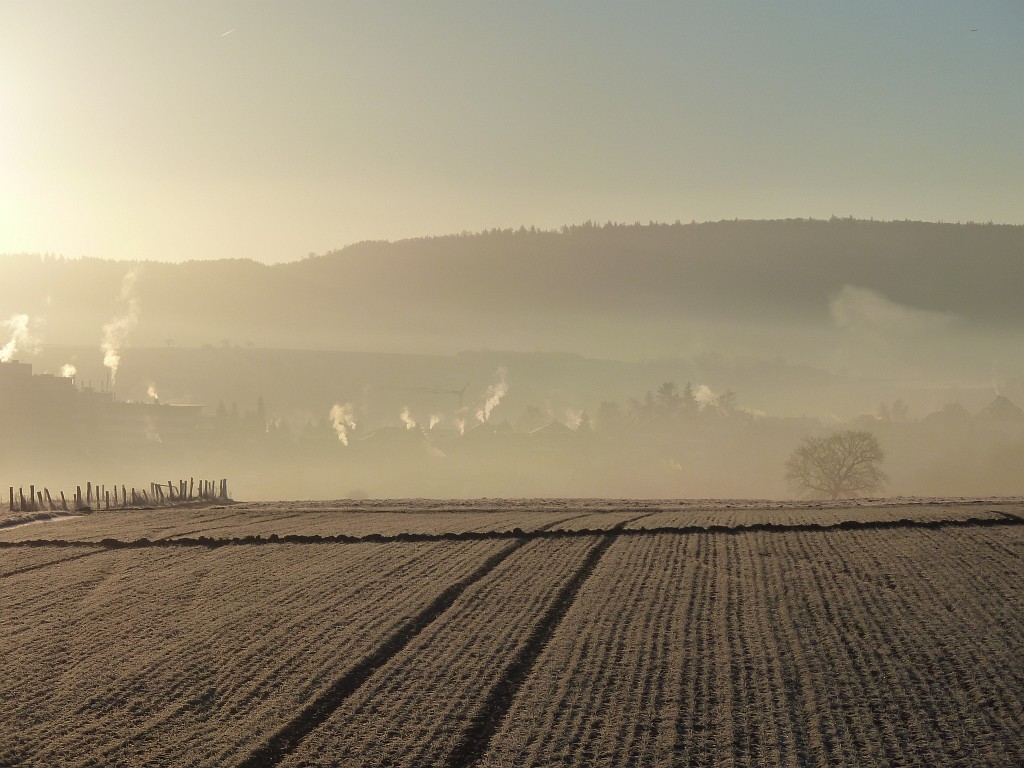P1020283.JPG - Hoar frost morning