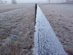 Hoar frost