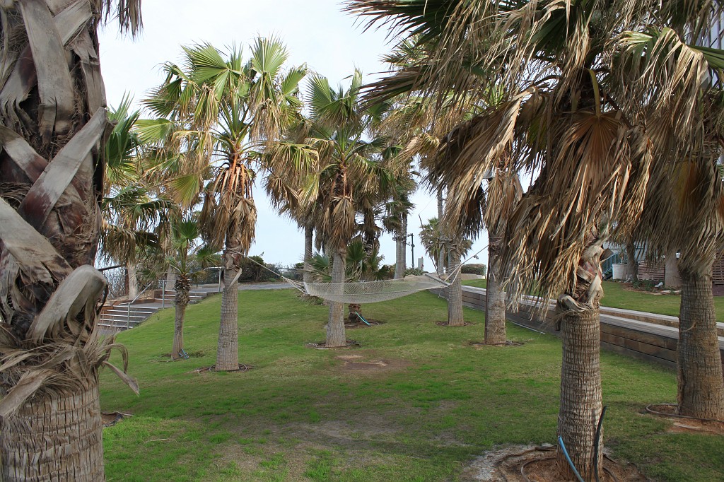 IMG_0107.JPG - Garden of the Daniel Hotel