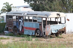 Bus