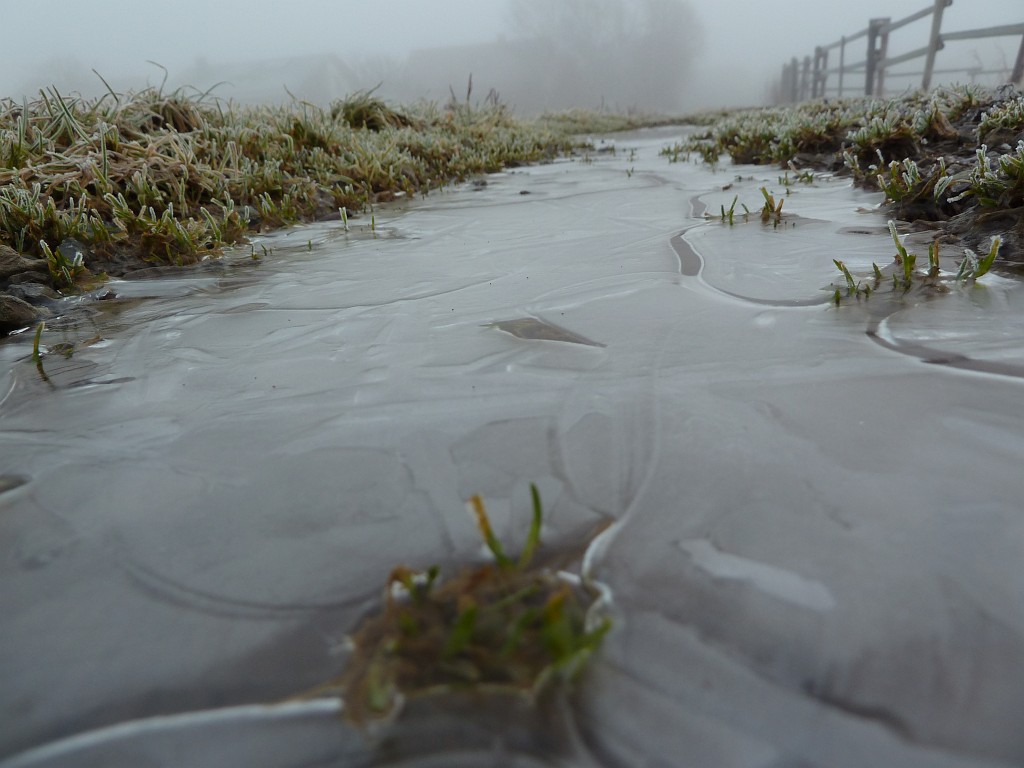 P1020348.JPG - Frozen puddle
