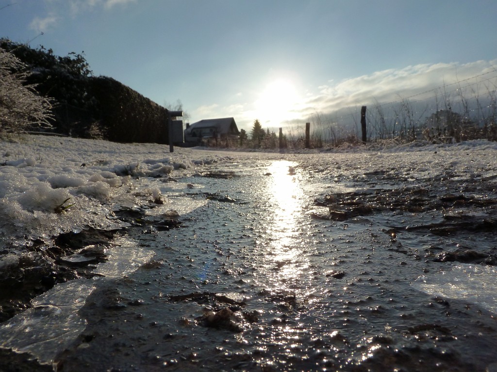 P1020437.JPG - Glittering Ice