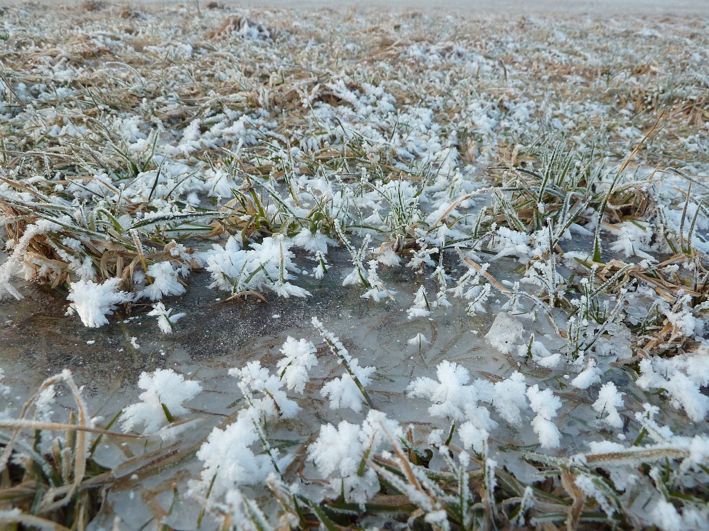 P1020551.JPG - Hard life