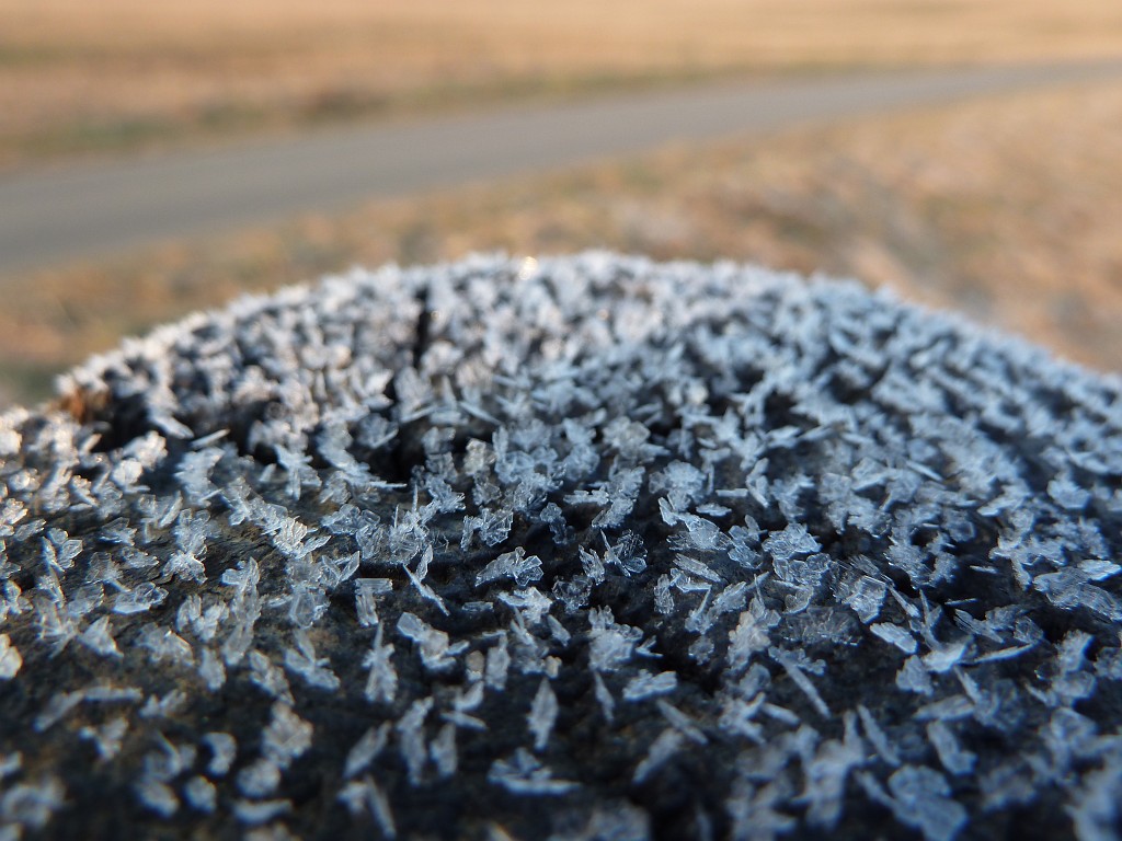 P1020568.JPG - Hoar frost