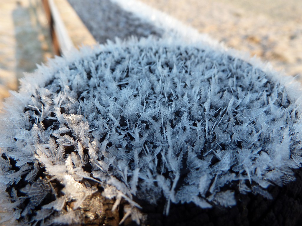P1020601.JPG - Hoar frost