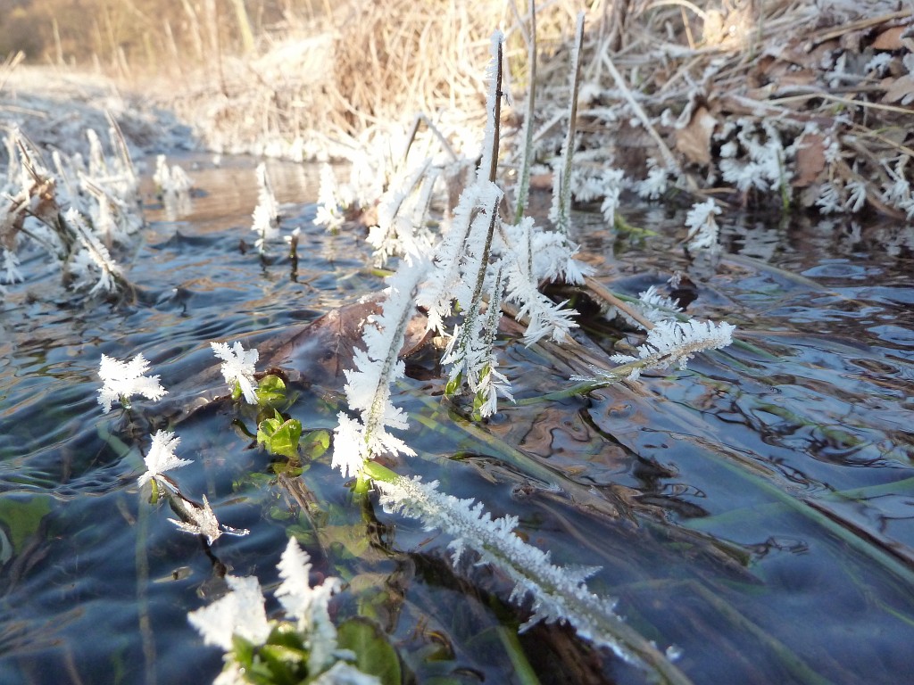 P1020615.JPG - Water & Ice