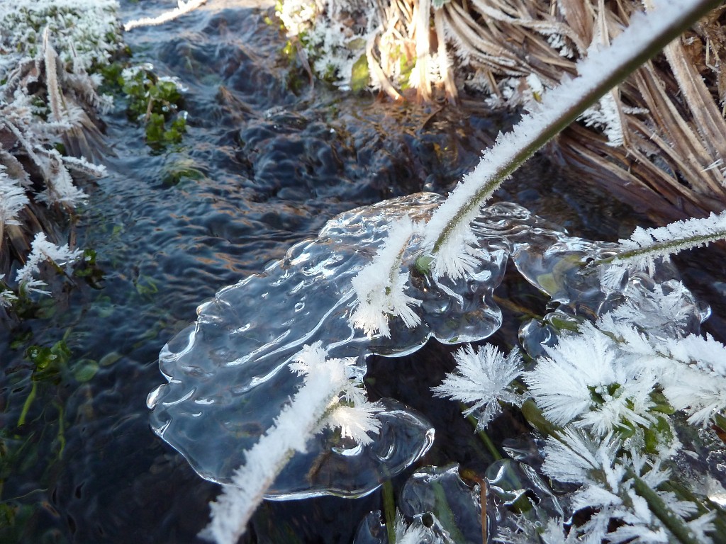 P1020617.JPG - Water & Ice