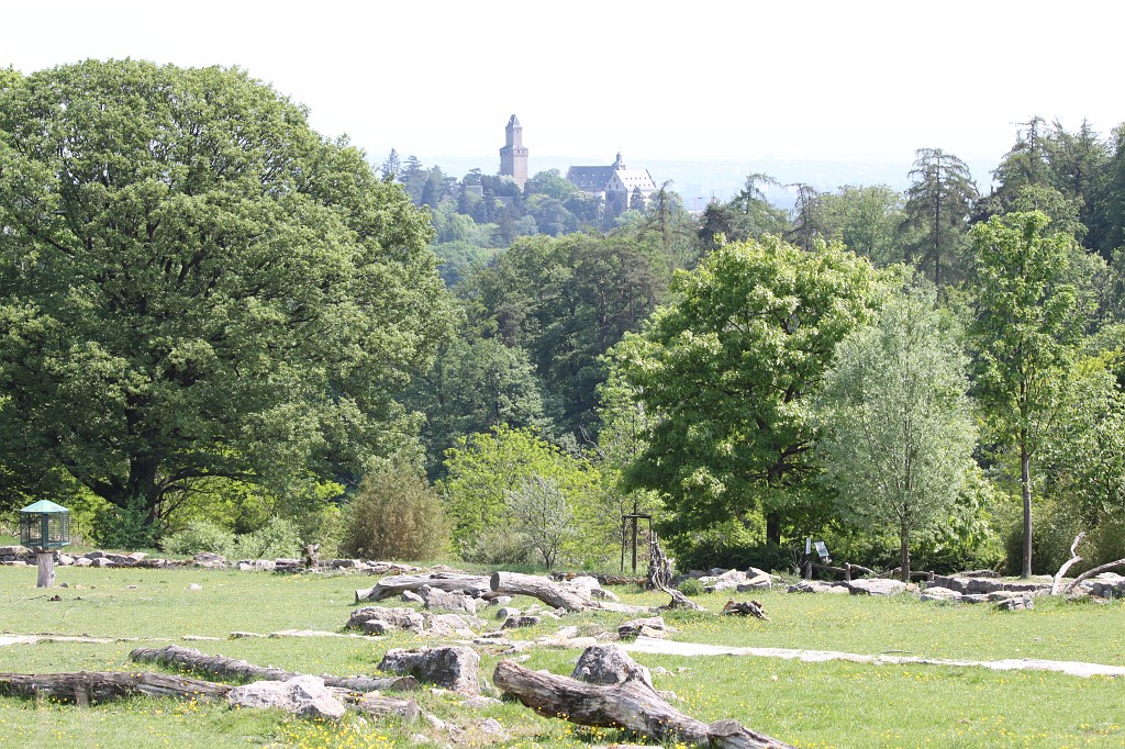IMG_1409.JPG - Burg Kronberg  http://de.wikipedia.org/wiki/Burg_Kronberg 