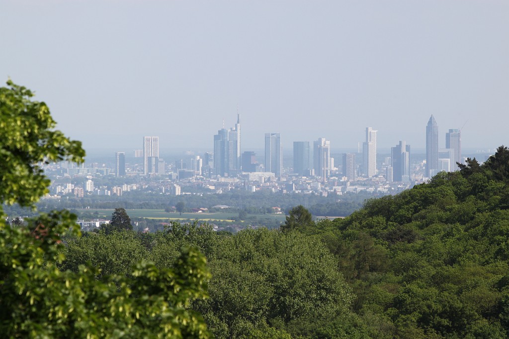 IMG_1646.JPG - Frankfurt skyline  http://en.wikipedia.org/wiki/Frankfurt  seen from the Opel-Zoo  http://de.wikipedia.org/wiki/Opel-Zoo 