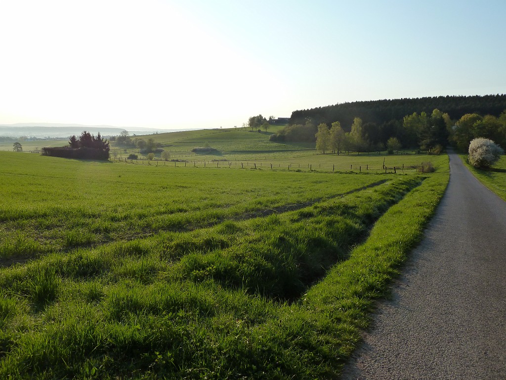 P1020983.JPG - Grassland