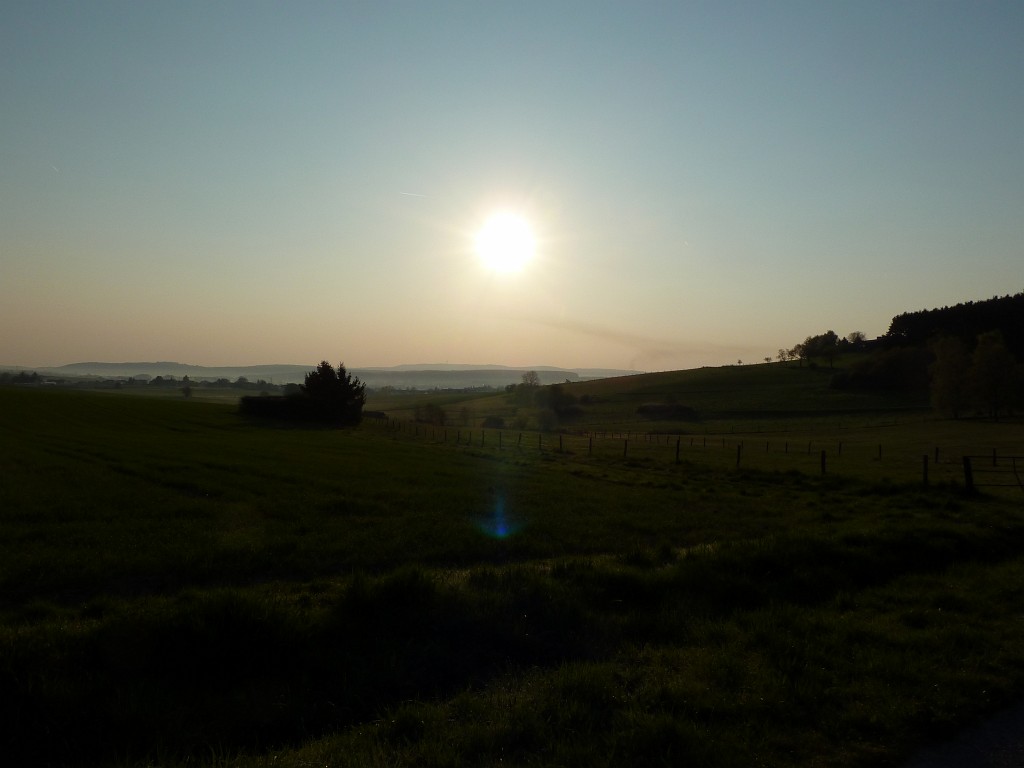 P1030037.JPG - Grassland in the morning