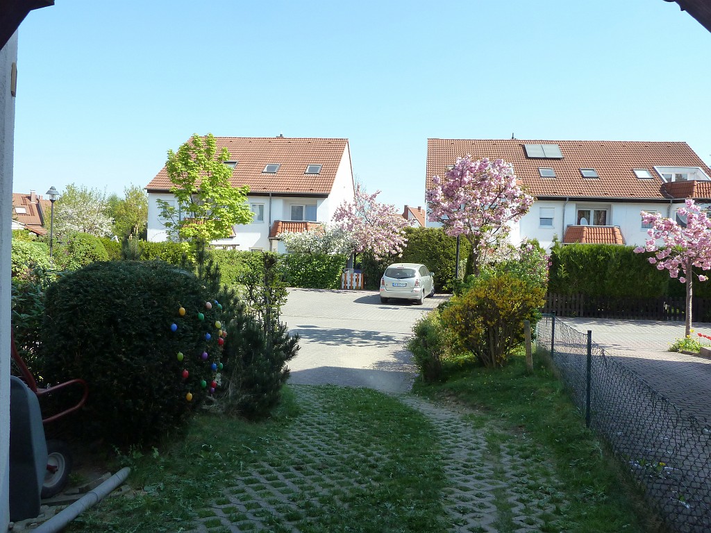 P1030068.JPG - Turning area with blooming cherry trees