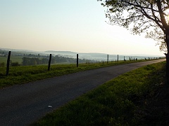 Grassland in the morning