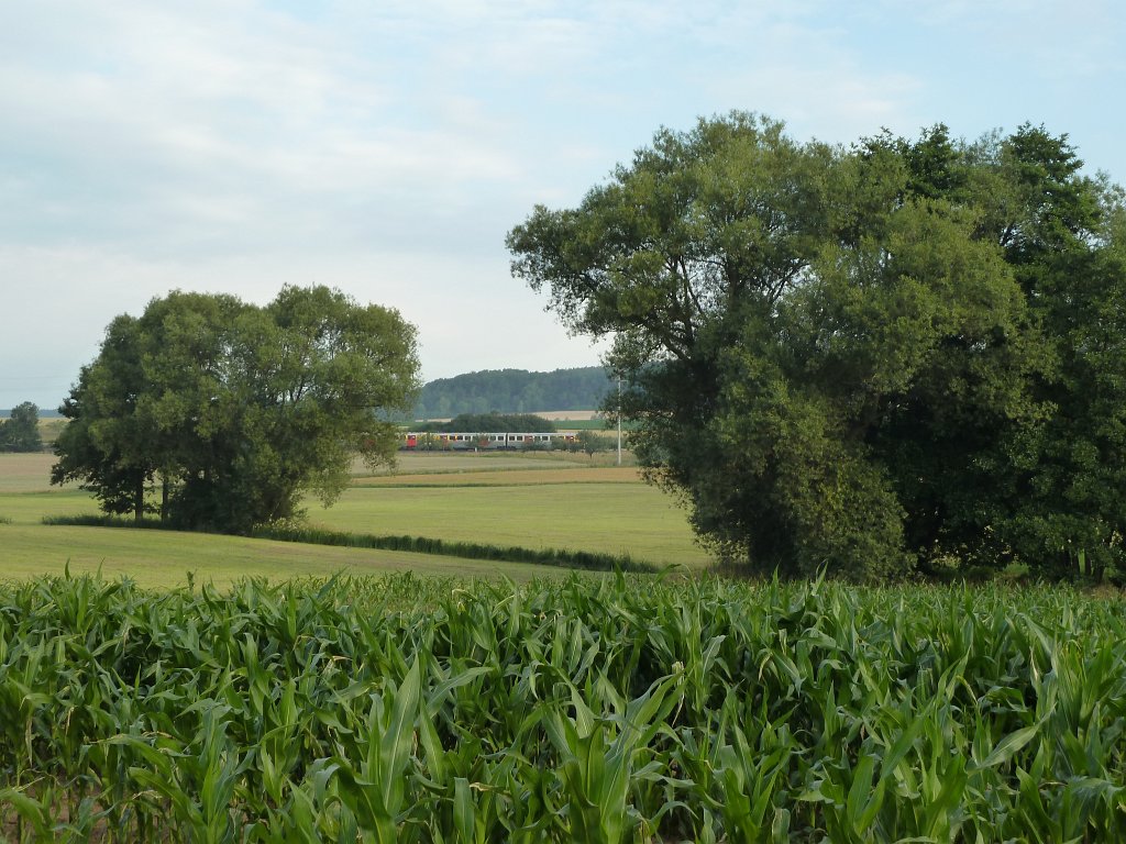 P1030808.JPG - Taunusbahn (Railway) between trees  http://en.wikipedia.org/wiki/Taunus_Railway_(High_Taunus) 