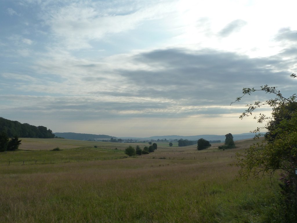 P1030827.JPG - Summer meadow valley