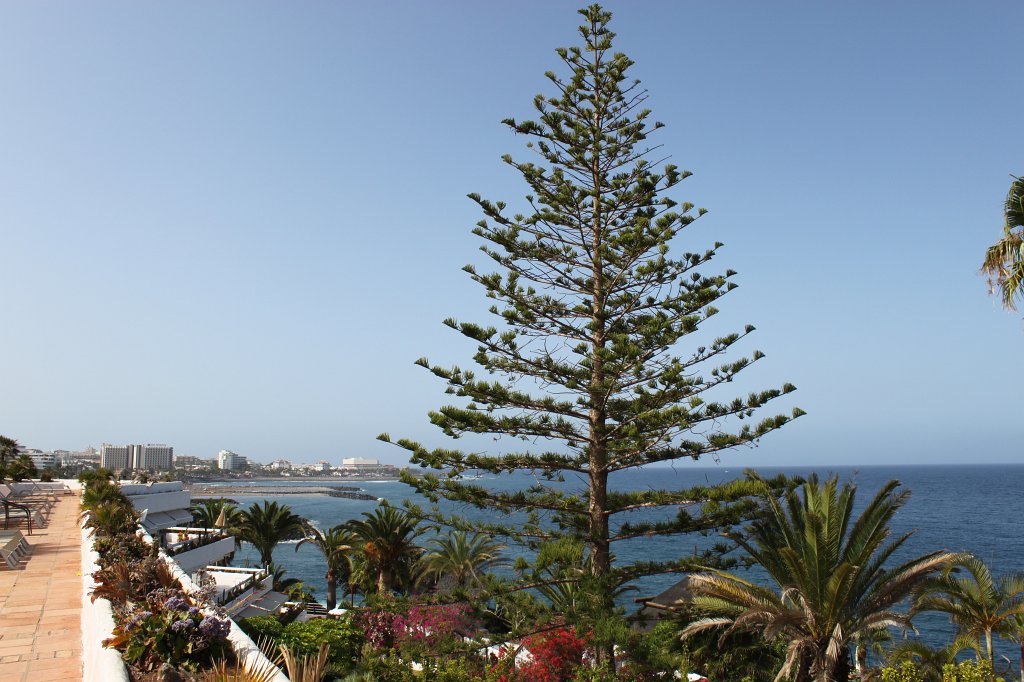 IMG_3608.JPG - Hotel Jardin Tropical  http://www.jardin-tropical.com/ view