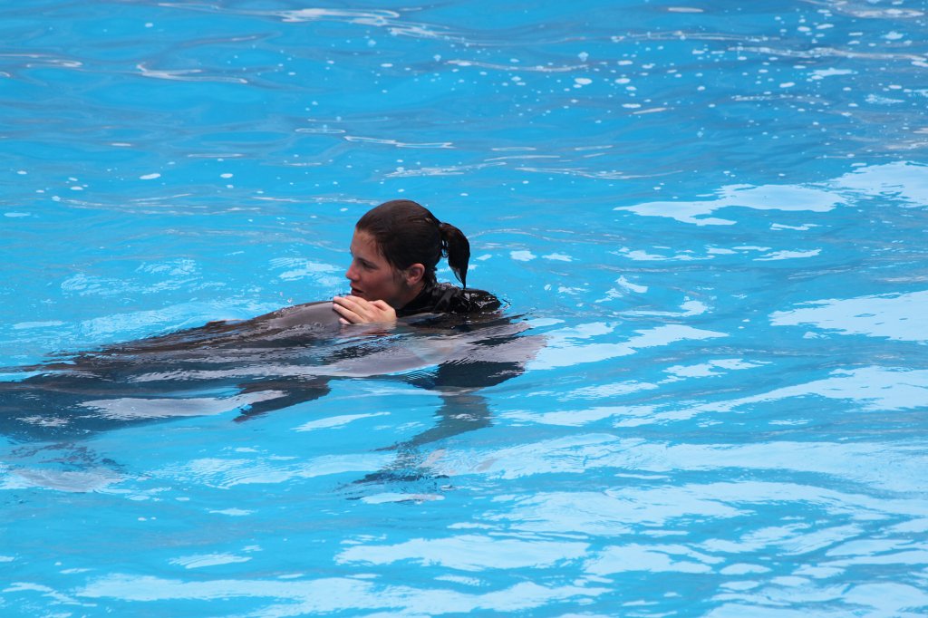 IMG_3705.JPG - Loro Parque  http://en.wikipedia.org/wiki/Loro_Parque  Dolphin show
